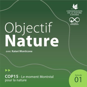 Balado Objectif Nature Episode 1