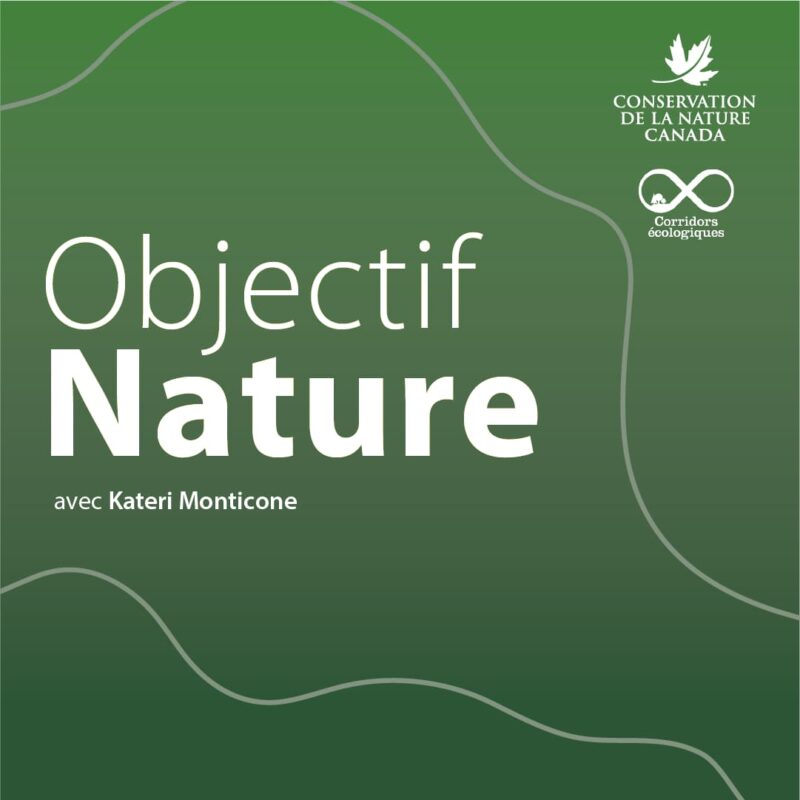Logo Objectif Nature - CNC- ICEQ